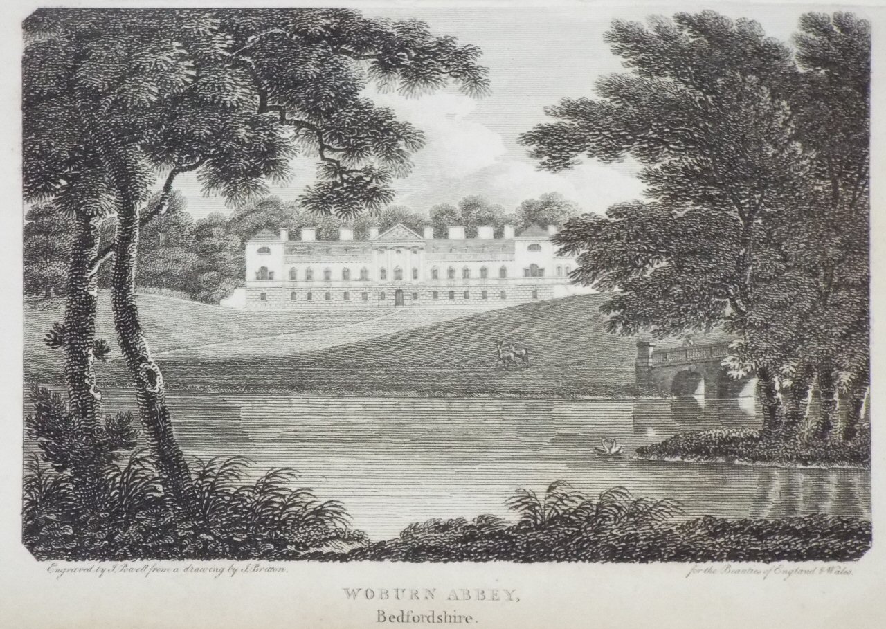 Print - Woburn Abbey, Bedfordshire. - Powell